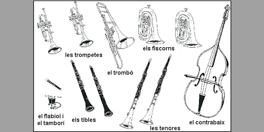 La Cobla de l'Institut Joan Brudieu-Escola Folk del Pirineu s'estrena per Sant Jordi