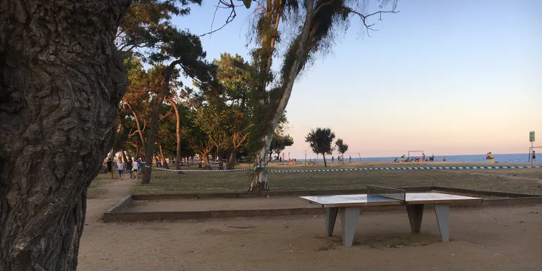 La zona de pícnic de la Platja dels Pins queda tancada al públic per prevenció