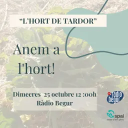 ANEM A L'HORT! 18 DESEMBRE 2024 - episode art