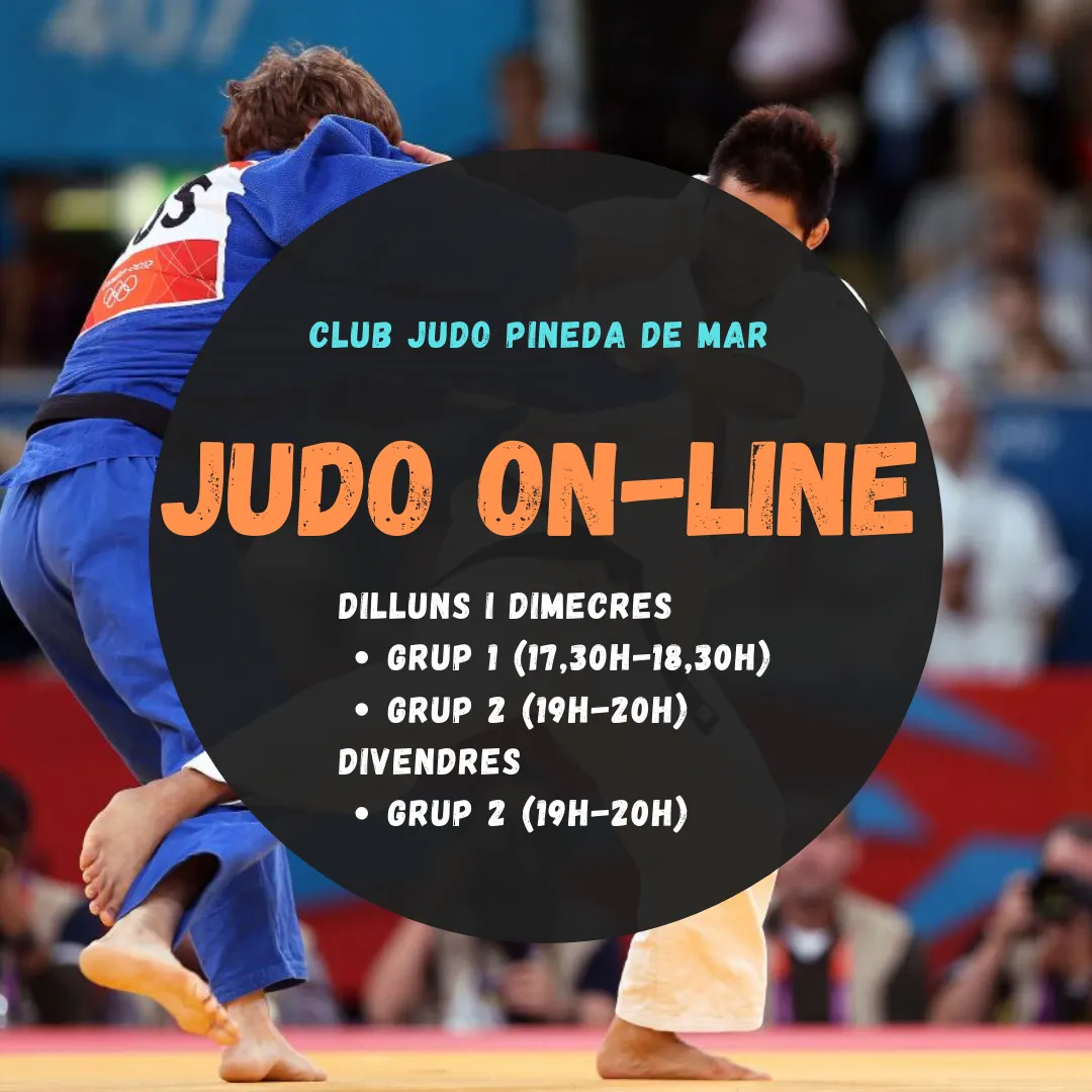 El Club de Judo Pineda fa classes on-line de judo durant el juny i juliol