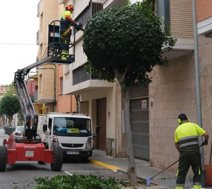 L’Ajuntament de Cambrils inicia la campanya de poda de l’arbrat viari