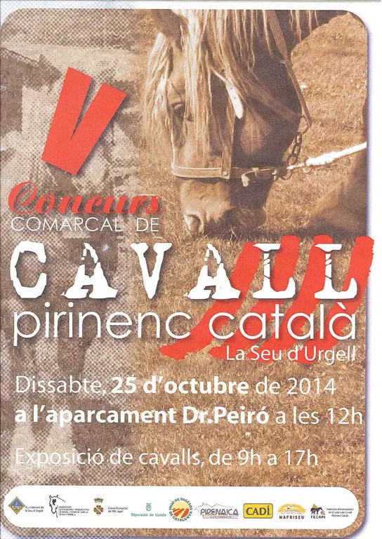 Nova edició del Concurs Comarcal de Cavall Pirinenc Català