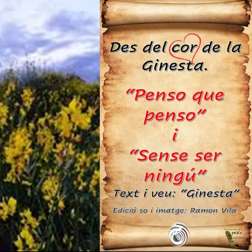 Des del cor de la “Ginesta”, avui: “Penso que penso” i “Sense ser ningú”