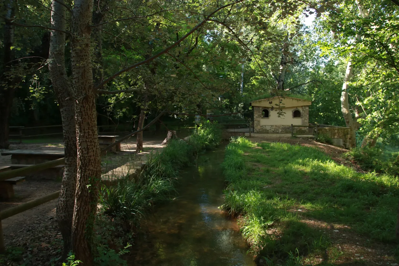 Renaturalitzaran l’Albereda de Santes Creus