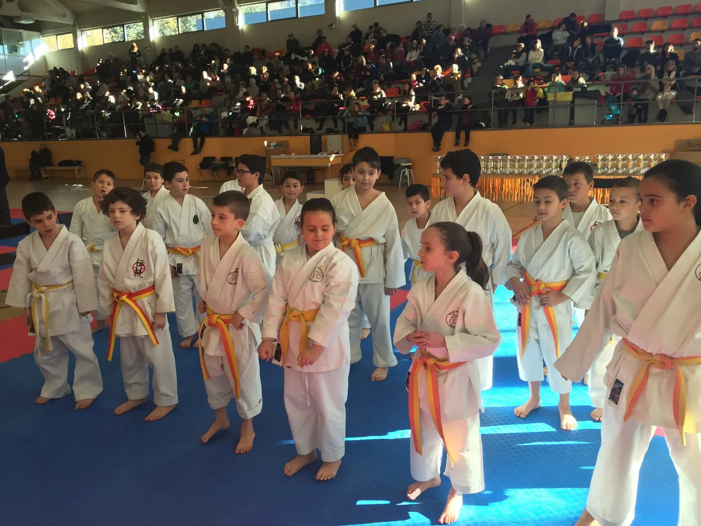 Campionat de Karate de la Seu 2016