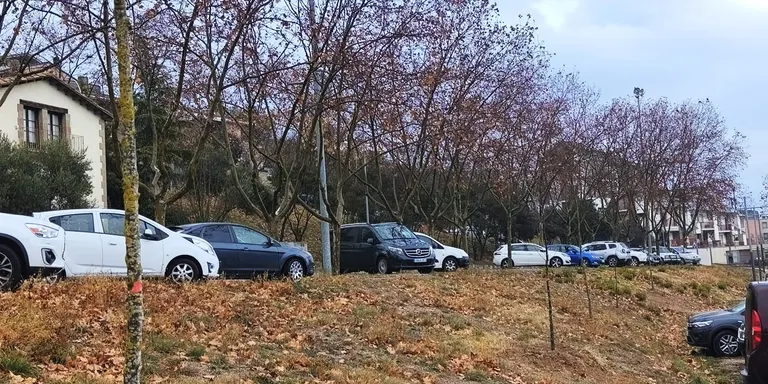 Solsona planta una trentena de noguers procedents d'una finca privada en diversos punts de la ciutat