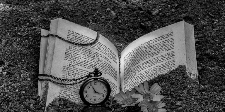 Els Fotògrafs de Pineda exposen aquests dies l'exposició fotogràfica 'Lectura' a la biblioteca