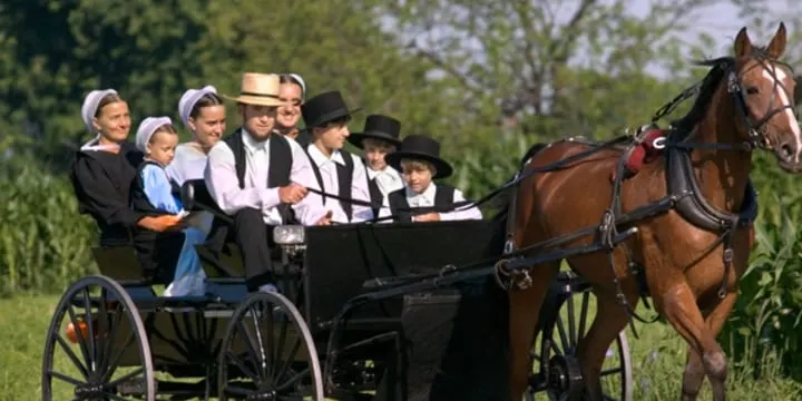 El Banc del Temps ens acosta als costums dels amish