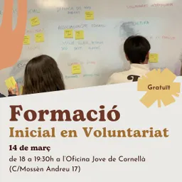 Formació Voluntariat 2024 - episode art