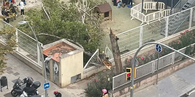 Nou ferits per la caiguda d'un arbre al pati de l'escola 30 Passos al barri de la Sagrera de Barcelona