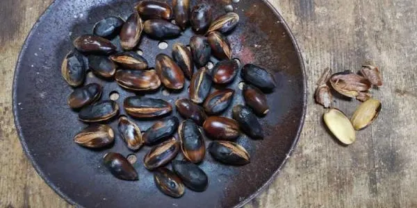 Una empresa de la Nou de Gaià aposta per tornar a posar els aglans dolços al mercat pel consum humà