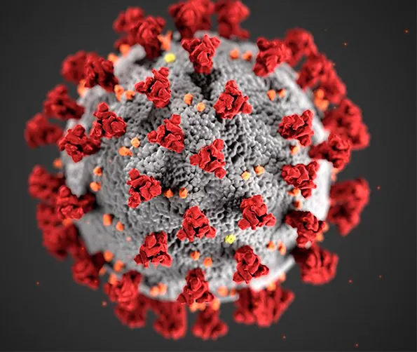 Un nou pacient de l'Hospital de Blanes que hi va ingressar per coronavirus SARS-CoV-2 rep l'alta
