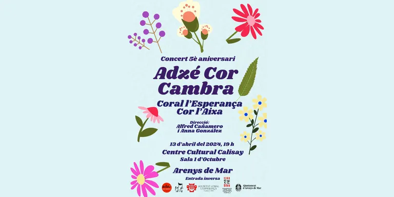 Aquest dissabte es celebra el 5è aniversari de l'Adzè Cor Cambra