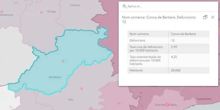 L'Ajuntament activa els recursos existents per si aquesta tarda neva