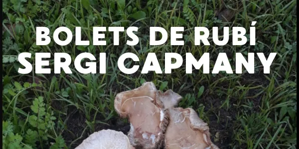 SERGI CAPMANY - Bolets de Rubí