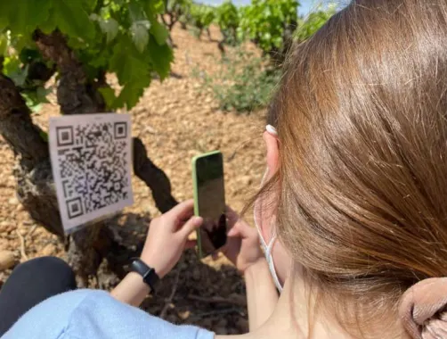 Més de mig miler d’escolars elaboren propostes innovadores pel turisme de la Costa Daurada