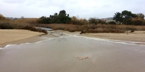 L'Agència Catalana de l'Aigua destina 1,6 milions d'euros per actuacions de custòdia fluvial