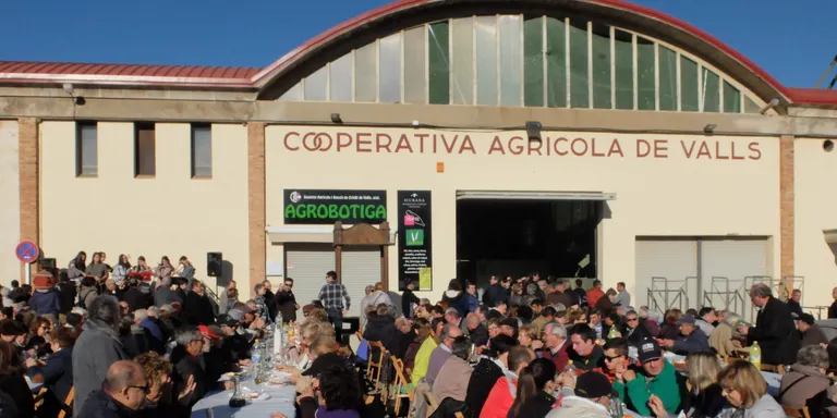 Valls prepara una nova Festa de l’Oli Nou