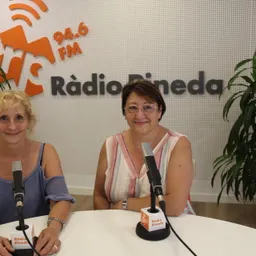 Associació de Dones Pinedenques - episode art
