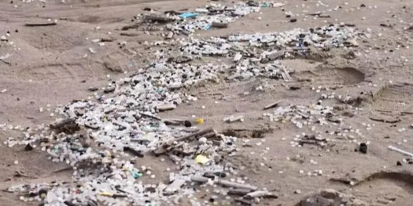 Exigeixen responsabilitat ambiental a les empreses implicades en la contaminació per pèl·lets al Camp de Tarragona