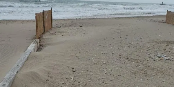 La platja d’Altafulla comença a acumular sorra gràcies a les trampes que eviten la seva marxa