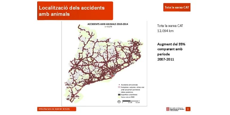Mesures de prevenció als punts de la xarxa viària amb major concentració d'accidents amb senglars