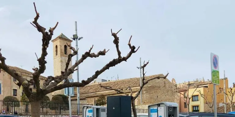 El Centre Moral d’Arenys de Munt ja assaja des d’aquesta setmana els seus tradicionals Pastorets Musicals