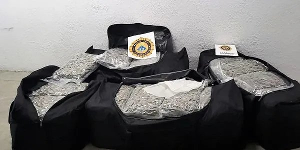 La Policia Local de Torredembarra deté dos individus per tràfic de drogues