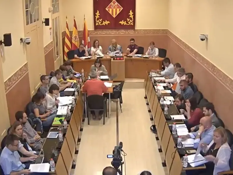 Ple ordinari maig 2018