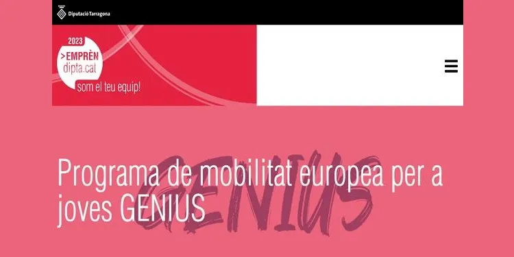 Últims dies per a inscriure’s al programa Genius, d’estades professionals per a joves a l’estranger