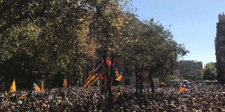 Concentració a la Seu d'Urgell "en defensa de la democràcia"