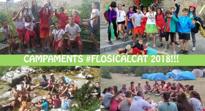 Foto: (Cau Flos i Calcat)