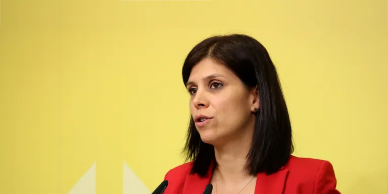 Vilalta: "No hi ha cap crisi al Govern. Hi ha una crisi a Junts que impacta al Govern"