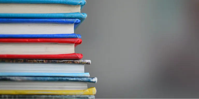 L'Ajuntament de Pineda estudiarà una proposta de reciclatge de llibres