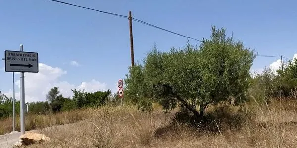 L’increment del consum d’aigua provoca una intrusió salina al pou de Brises del Mar