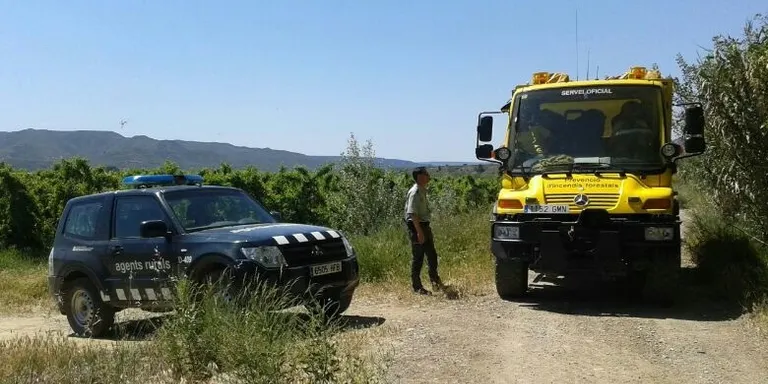 Al Maresme no s’ha cremat ni una hectàrea aquest estiu