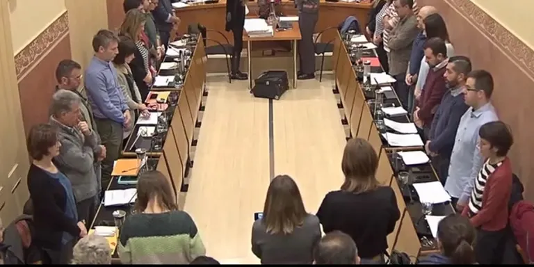 Ple ordinari de novembre 2019