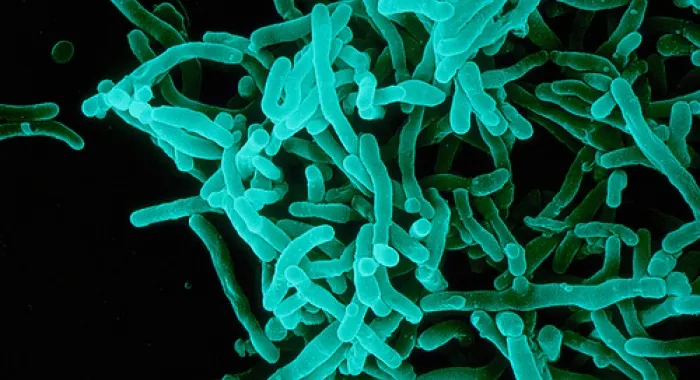 Els metges alerten contra la propaganda antivacunació