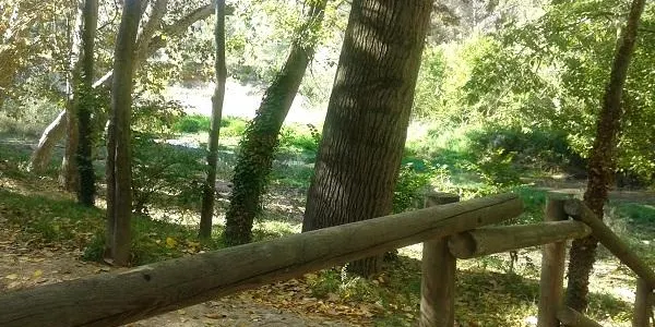 La Trobada Terres del Gaià reunirà gent de Santa Coloma a Tamarit aquest dissabte a Santes Creus