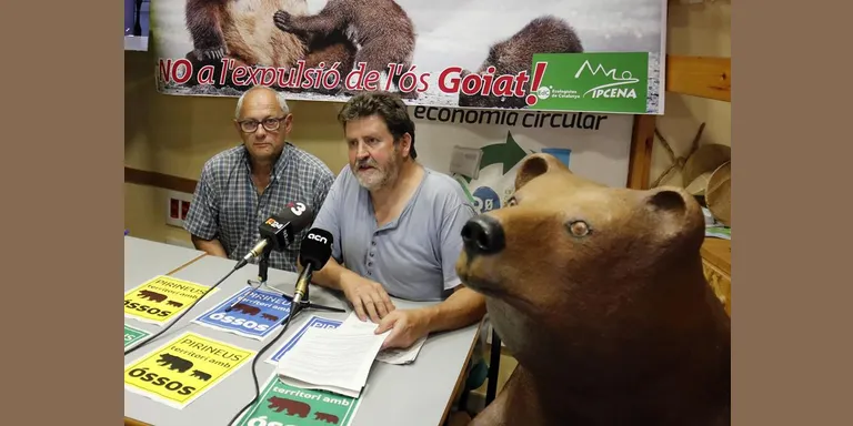Ipcena veu "indicis de mala gestió" en el programa d'alliberament d'óssos