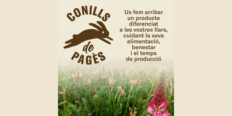 Una ramaderia de Prades de la Molsosa impulsa la creació de la marca col·lectiva "Conills de pagès"