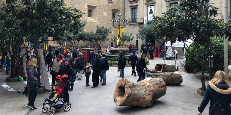 La fira nadalenca de Solsona exposarà tions als aparadors de la ciutat