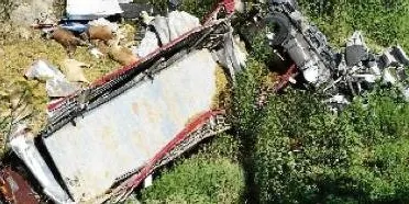Denunciada una dona per un accident a Capellades amb vedells provinents d'Estamariu