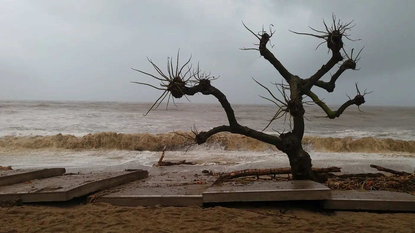 Empreses i establiments comercials de Pineda es posen al servei del poble per atendre els efectes del temporal