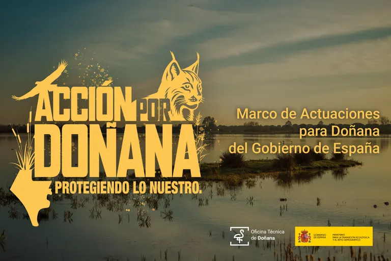El Gobierno de España lanza la campaña ‘Acción por Doñana’ para sensibilizar a la población sobre la importancia de la protección del espacio natural