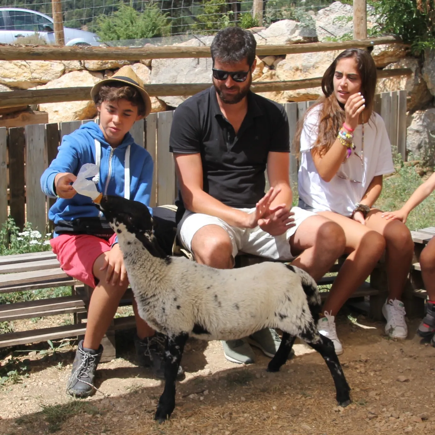 <strong>El Zoo del Pirineu reprèn la setmana que ve l'activitat de contacte amb els animals</strong>