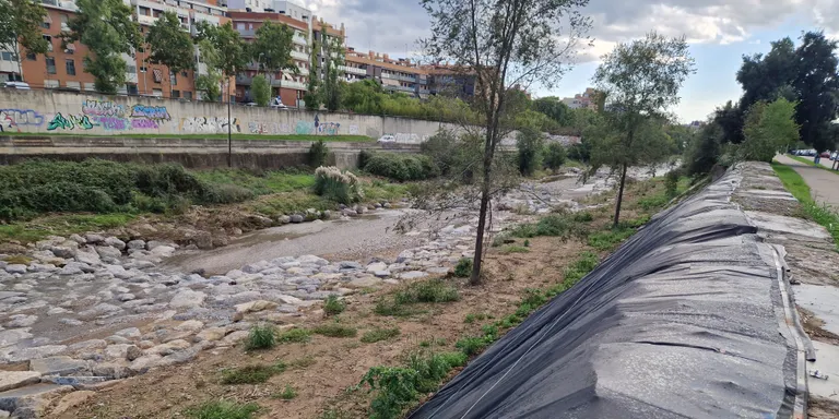 Per què han aparegut lones negres al lateral de la riera?
