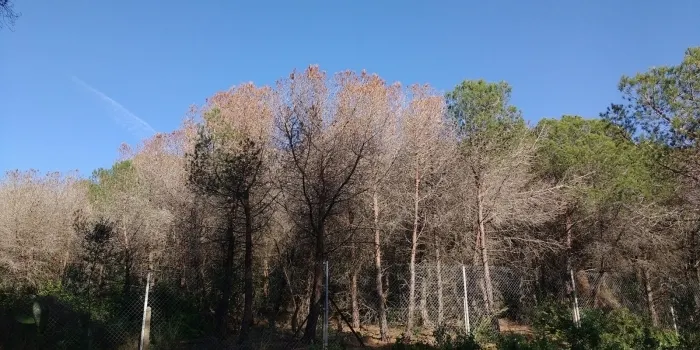 El Maresme ja té el seu propi servei comarcal de Boscos i Rieres