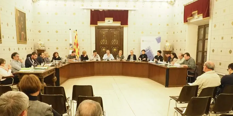 L’Ajuntament de la Seu aprova el document per definir el Pla d’Acció per a l’Energia Sostenible i el Clima