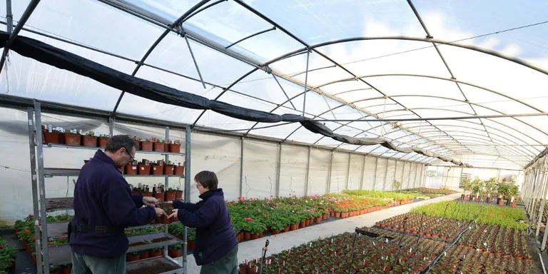 El 5,4 per cent de la població rubinenca disposa d'un certificat de discapacitat